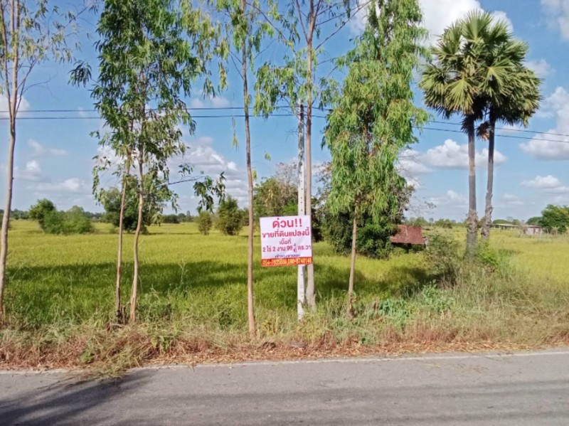 ด่วนลดราคา-ขายที่ดินสวยเหมาะทำโคกหนองนา-อเมือง-จร้อยเอ็ด
