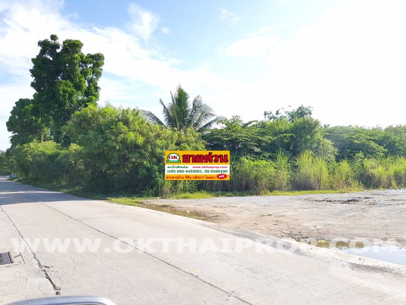 3141-ที่ดิน-ถข้าวหลาม-ตบ้านเหมือง-อเมืองชลบุรี