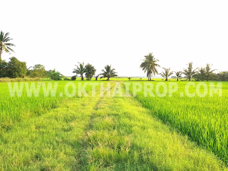 3359-ที่ดิน-ถ346-ปทุม-บางเลน-ไทรน้อย