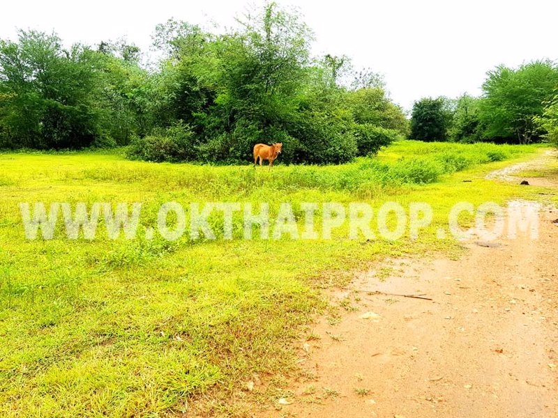 3294-ที่ดิน-พุหวาย-ทางหลวงชนบทหมายเลข101-ถพุหวาย-อชะอำ-จเพชรบุรี