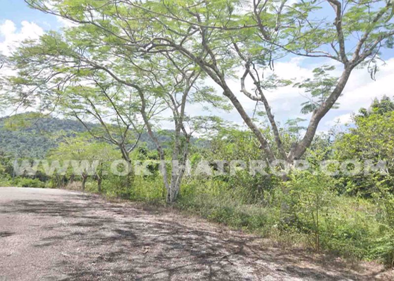 3039-ที่ดิน-ในโครงการแรบบิซ-ฮิลล์-รีสอร์ท-rabbiz-hill-resort-