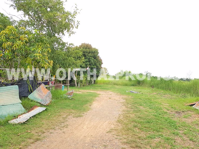 3297-ที่ดิน-หนองเสือ-ถเลียบคลอง7-ปทุมธาน็
