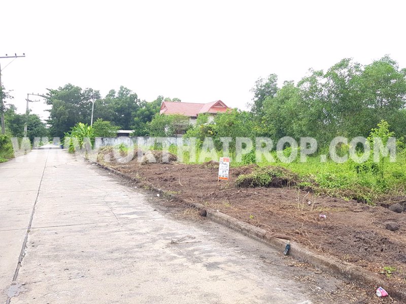 3025-ที่ดิน-มเวิลด์คลับแลนด์-ถคลองหลวง-คลอง3