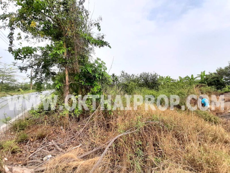 ที่ดิน-บางแก้วฟ้า-นครชัยศรี-นครปฐม