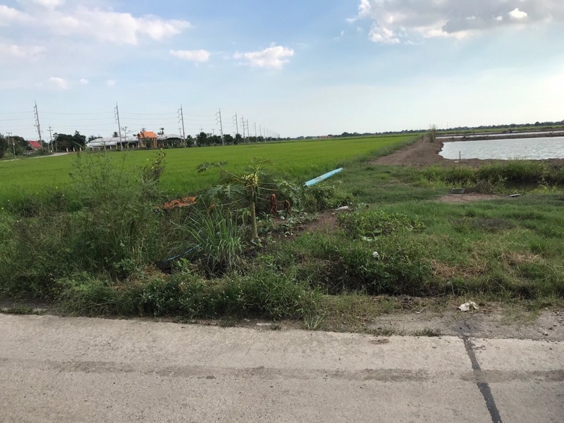 ขายที่ดิน-เกาะไร่-บ้านโพธิ์-ฉะเชิงเทรา-32-ไร่ๆ-26ล้าน-ไร่-แหล่งชุมชนวัด