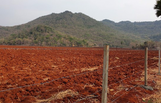 ที่สวยลพบุรีวิวเขาล้อมรอบมีโฉนดติดถนนขนาดใหญ่ลาดยางถึงที่ดิน-24-ไร่-ไร่ละ-180000-ล้อมรั้วแล้ว