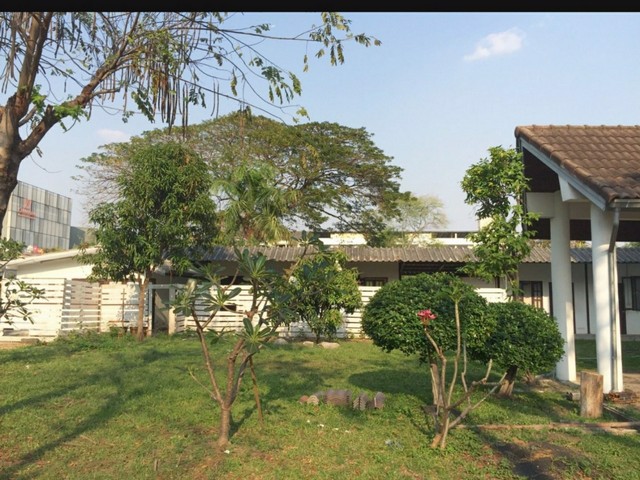 ให้เช่า-บ้านเดี่ยว-4-ห้องนอน-สุขุมวิท-101-พื้นที่-15-ไร่-ใกล้-bts-ปุณณวิถี-บางจาก-พระโขนง