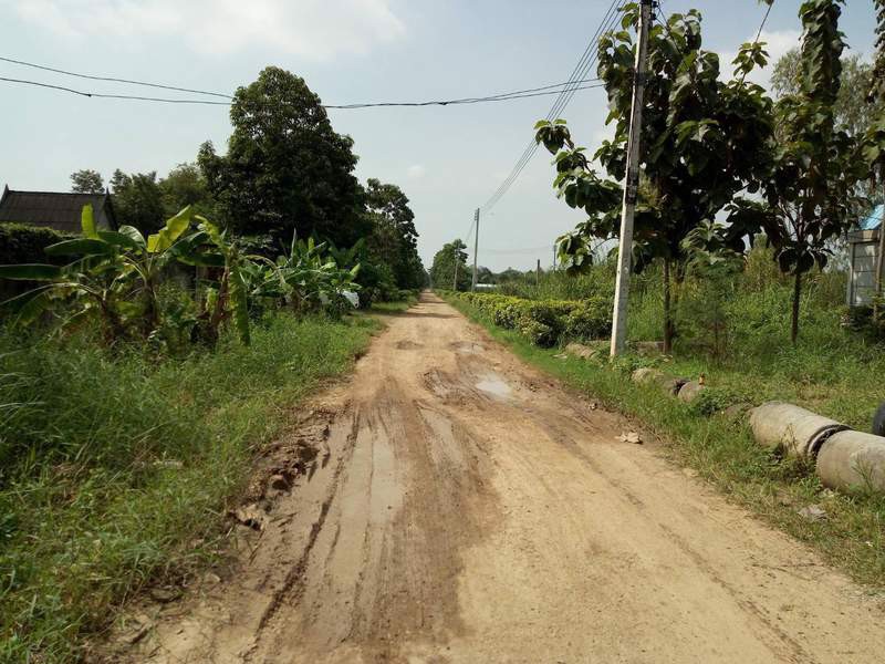 ขายที่ดิน-เนื้อที่-377-ตารางวา-ซอยถังดอกบัว