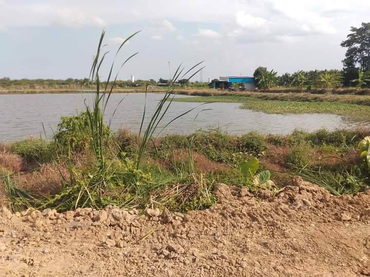 ที่ดินโฉนดถูกต้อง-ที่ดินสวยๆ-วิวหลักล้าน