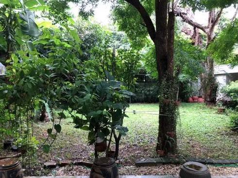 kr-123-ให้เช่าที่ดิน-40-ตารางวา-ซอยทองหล่อ-13-ใกล้เจ-อเวนิวทองหล่อ