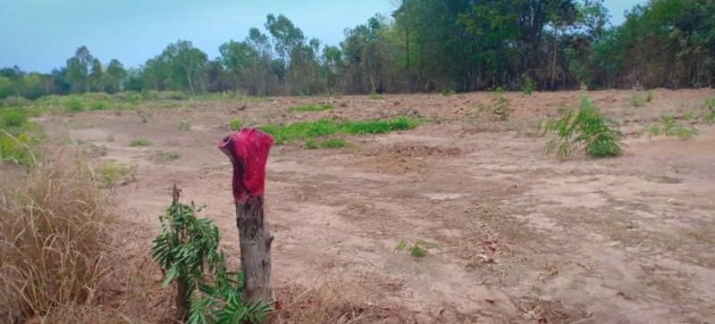 ขายที่ดิน-หลังห้างดูโฮมเมืองอุดร