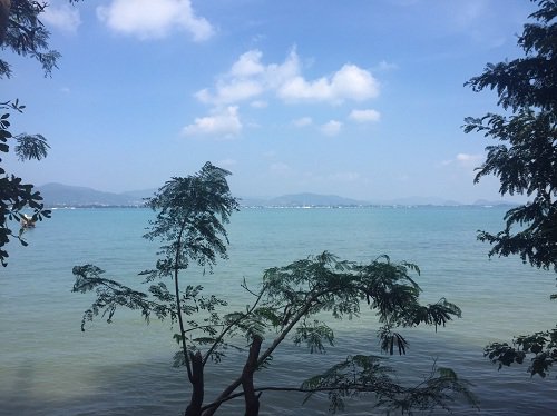 ขายที่ดินบนเกาะโหลน-ภูเก็ต-12-ไร่-เหมาะสำหรับทำบ้านพัก-รีสอร์ท