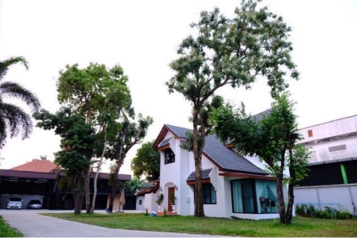 ขายบ้านเดี่ยวสไตล์ยุโรป-พร้อมอาคารออฟฟิศ-เนื้อที่-356ตรว-ซอยสวนผัก-50