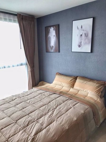 ให้เช่าคอนโด-ดิ-เอ็กซ์เซล-กรูฟ-ลาซาล-52-the-excel-groove-lasalle-52-พร้อมอยู่