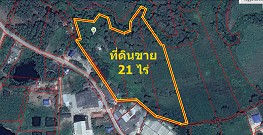 ขายที่ดินเปล่า-21-ไร่-ตำบลแม่ปะ-อำเภอแม่สอด-จังหวัดตาก