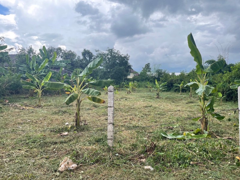 ที่สวยๆ-เหมาะสำหรับทำที่พักรถยนต์ขนสินค้าข้ามชายแดนไทย-สปปลาว-จีน