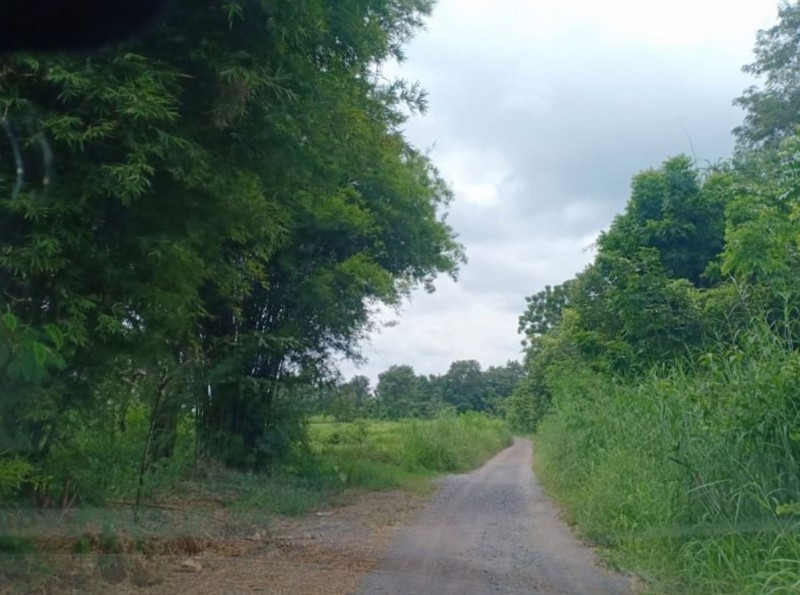 ขายที่ดิน-1ไร่-ราคา149000บาท-เงินสด-เงินผ่อน-