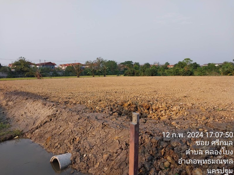 ขายที่ดินแปลงนี้แบ่งขาย-เนื้อที่เต็ม-1ไร่-2งาน-40ตารางวา-ถมแล้ว