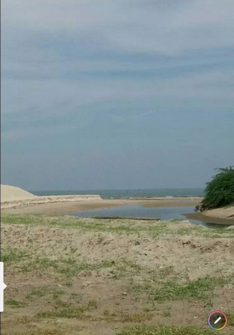 ขายที่ดิน-3-งาน-58-ตารางวา-อำเภอชะอำ-จังหวัดเพชรบุรี-ใกล้ทะเล