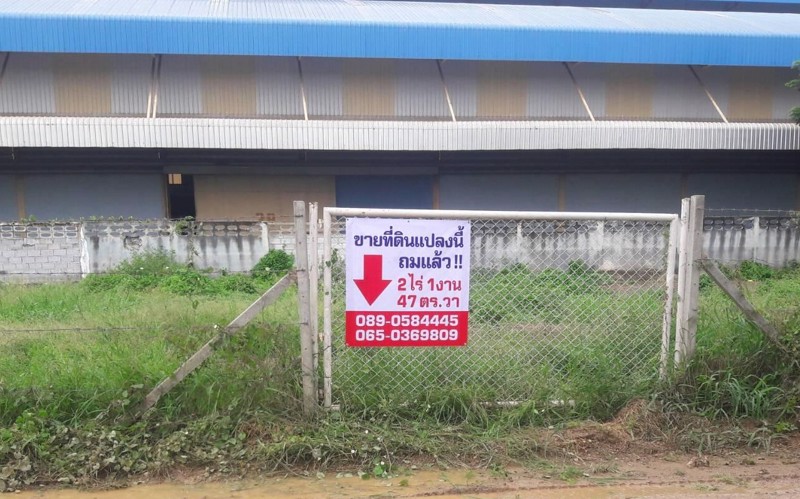 ขายที่ดิน-จปทุมธานี-อลาดหลุมแก้ว