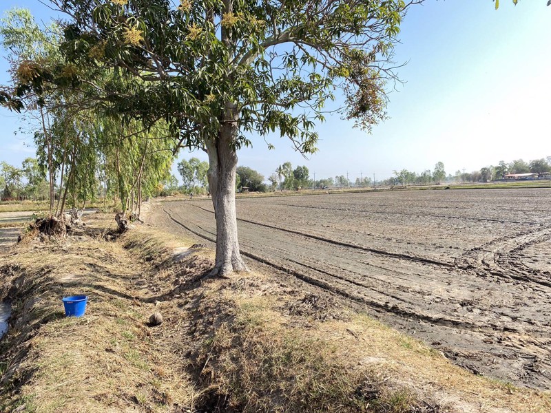 ขายที่ดินเนื้อที่-11-ไร่-1-งาน-26-ตารางวา