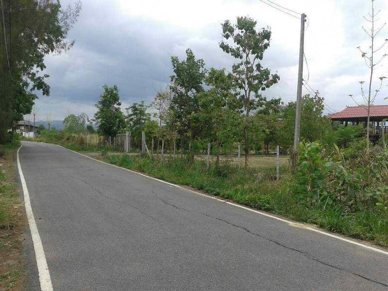 ขายบ้านเดี่ยว-3-ไร่-ติดถนนดำ-ใกล้ถนน-สันกำแพง-แม่ออน-1317-เพียง-1-นาที