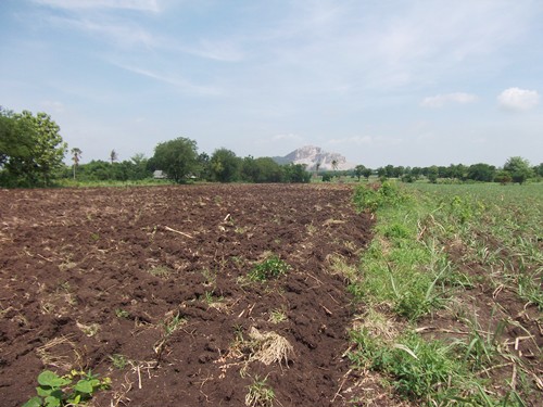 ขายถูก-ที่ดิน-โฉนด-ที่ดินไทย-9-2-35-ไร่-ราคา-1600000-บาท-ลำสนธิ-ถนนคอนกรีต-มีตาน้ำไหลตลอดปี-ติดฝ