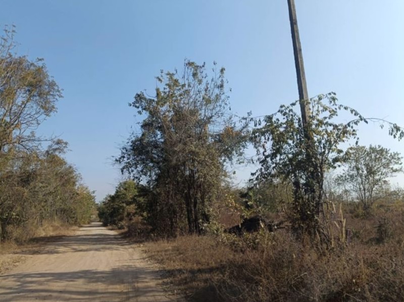 ขายที่ดินติดถนนคอนกรีต-เนื้อที่-98ตรว