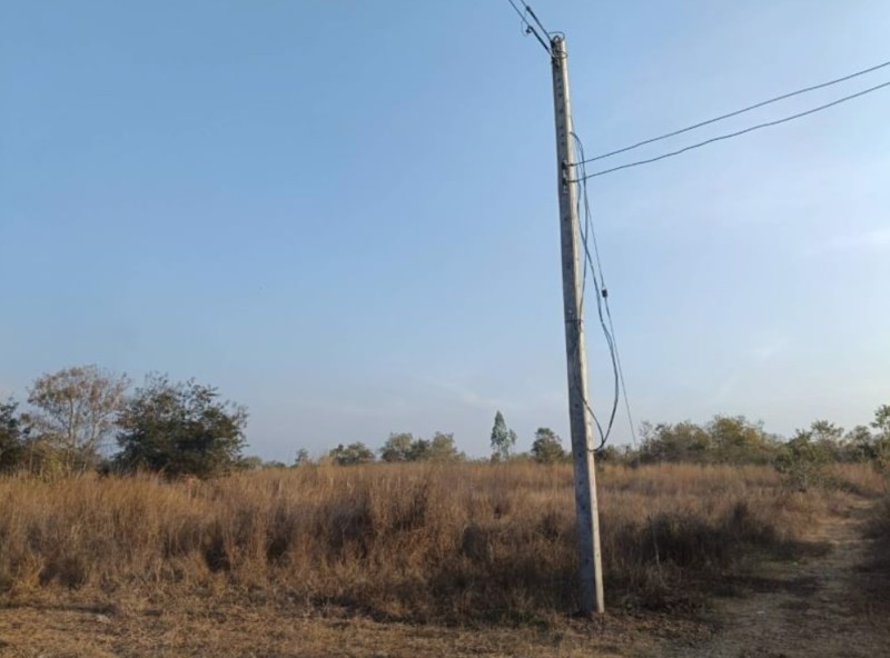 ขายที่ดิน-50ตรว-ราคา89000บาท-ผ่อนวัน100บาท-