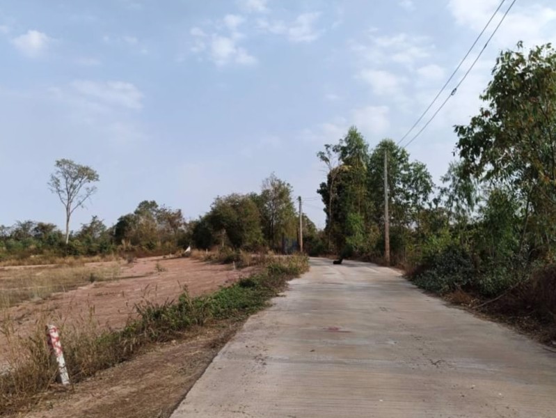 ขายที่ดินทำบ้าน-ขนาด250ตรว-ราคา-300000บาท