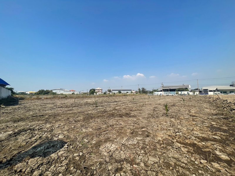 ให้เช่า-ที่ดิน-2-ไร่-ซอยบางปลา2-ธนสิทธิ์-อำเภอบางพลี-จังหวัดสมุทรปราการ