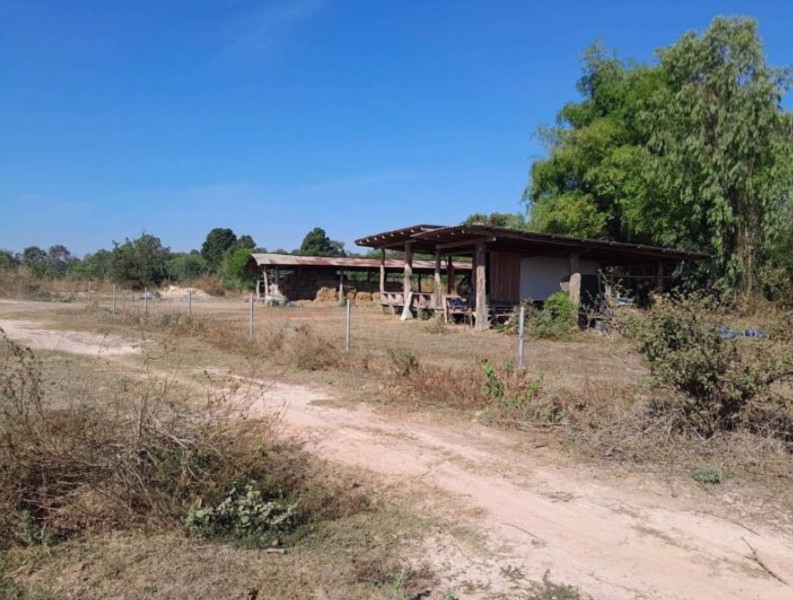 ขายที่ดินพร้อมโรงเรือนเนื้อที่-9-ไร่-ราคา13ล้านบาท