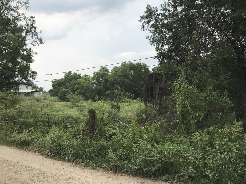 ที่ดินเปล่า-2-ไร่-คลองสอง-ปทุมธานี