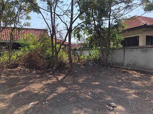 ขายที่ดิน-65-ตรว-หมู่บ้านเอกสิริน-ถนนกาญจนาภิเษก