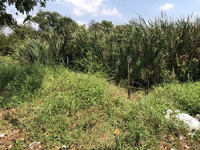 ที่ดินเปล่า-940-ตรว-หน้าหมู่บ้านสินธร-ถนนรังสิต-ปทุมธานี-ราคาต่อรองได้-