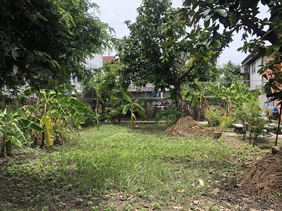 ที่ดิน-60-ตรว-ใกล้-โรงพยาบาลโรคทรวงอก-ซอยติวานนท์38-ราคาต่อรองได้-