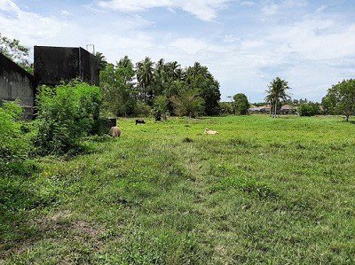 ขายที่ดิน-914-ตรว-ใกล้โรงงานสงขลา-ซอยแผ่นดินไทย-ถนนกาญจนวนิช