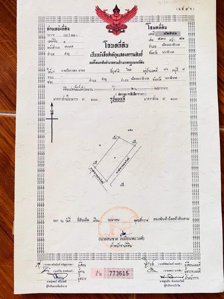 ขายที่ดินเนื้อที่ 2 งาน 64 ตารางวา