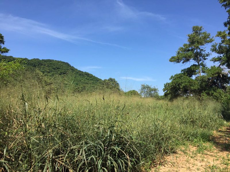 ที่ดินสวยบรรยากาศดี-ใกล้ชิดธรรมชาติ-สัตหีบ-ไม่ไกลจากสนามบิน