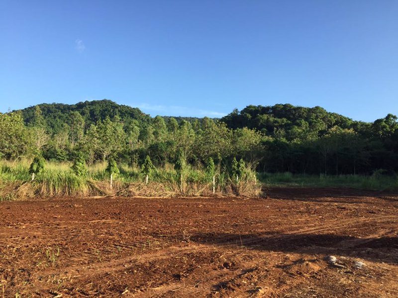 ขายที่ดินใกล้ชิดธรรมชาติ-ห่างเส้น-332-เพียง-500-เมตร