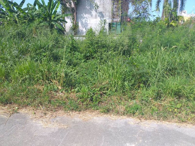 ที่ดินเปล่าชุมชนบางเสร่-ฝั่งทะเลใกล้ตลาด-ขาย-15-ล้าน