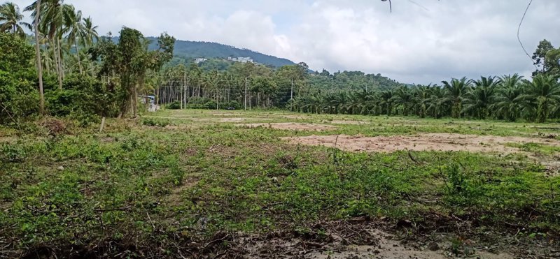 ขายที่ดินเกาะสมุย-ตลิ่งงาม