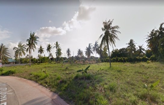 ขายที่ดิน-2-ไร่ครึ่งหลังตลาดน้ำสี่ภาค-ติดถนนคอนกรีต