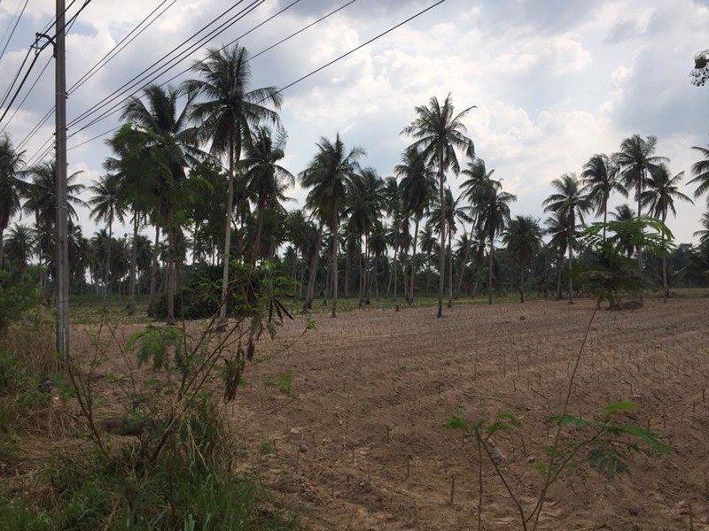 ขายด่วนที่ดิน-ติดถนนเส้นหลักห้วยใหญ่-331