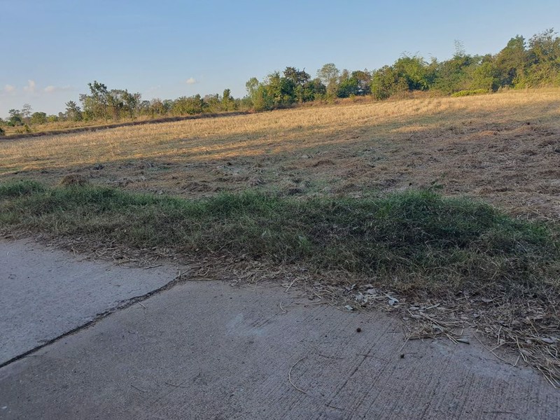 ขายที่นา-6-3-54-ไร่-ราคาไร่ละ150000-บาท