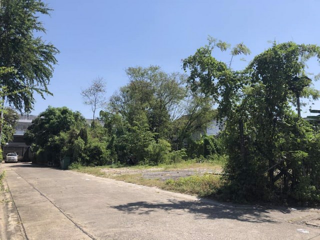 ขายที่ดินแปลงมุม-99-ตรว-ลาดพร้าว71-สังคมสงเคราะห์-6-ใกล้เลียบด่วนเอกมัย-รามอินทรา-ใกล้รถไฟฟ้า