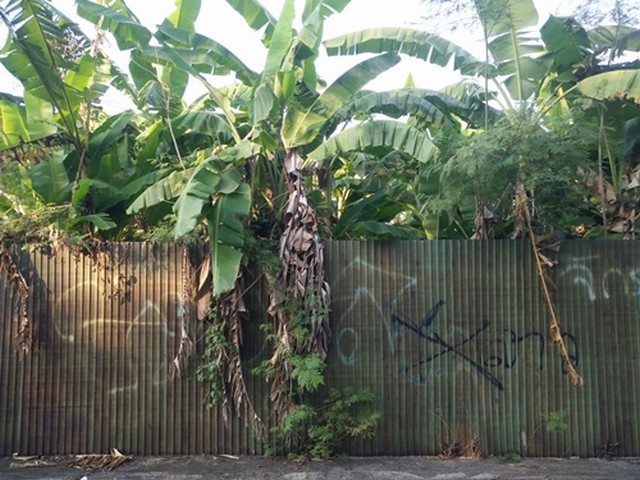 ขายที่ดินเปล่า-56-ตรว-ซอย-สังคมสงเคราะห์9-ลาดพร้าว71-ใกล้เลียบด่วนเอกมัย-รามอินทรา-ใกล้รถไฟฟ้า