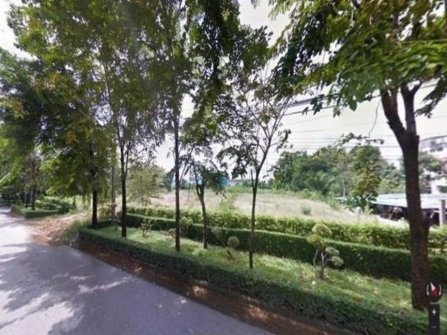 ขายที่ดินแปลงมุมเกือบ-2-ไร่-สุขุมวิท-62-ผืนสี่เหลี่ยม-ถมแล้วสูงกว่าถนน-ใกล้ทางด่วนใกล้-bts