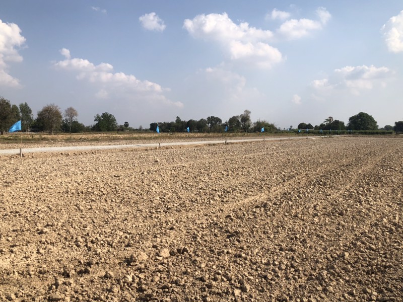 ขายที่ดินเปล่า-แปลงละ-80-100-ตรว-สุพรรณบุรี