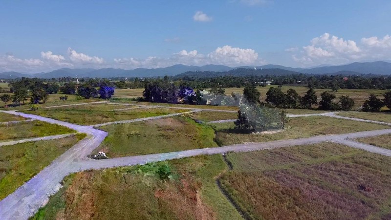 ขายที่ดินบ้านป่าสักน้อย-ซอย7-ตเชิงดอย-อดอยสะเก็ด-จเชียงใหม่